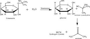 Cassava waste as an animal feed treatment: past and future