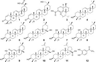 Isolation of C-29 oxygenated oleanane triterpenoids and a (+)-muurolene type sesquiterpenoid from the fruiting bodies of Fuscoporia torulosa and their bioactivities