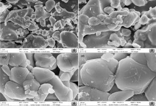 Surface and spectral investigations of NaCaVO4:Tb3+: a green component phosphor for WLEDs