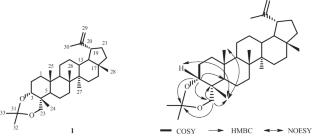 Triterpenoids from Glochidion eriocarpum