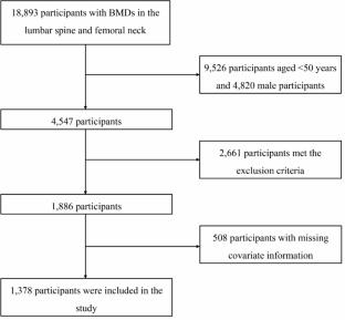 Association of dietary live microbe intake with prevalence of osteoporosis in US postmenopausal women: a cross-sectional study