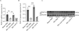 GDNF's Role in Mitigating Intestinal Reactive Gliosis and Inflammation to Improve Constipation and Depressive Behavior in Rats with Parkinson’s disease