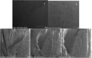 Optical, electrical, and biological properties of PVP-PVA/Ca-doped CoO nanocomposites for opto-electronic and biological applications