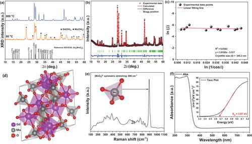 Various Applications of Gadolinium Molybdate Down-Conversion and Up-Conversion Fluorescent Nanoparticles