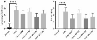 The protective effect of benfotiamine on gastric ulcers in male rats: an experimental study