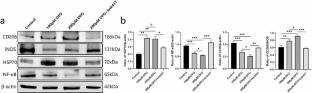 Hypoxic microenvironment promotes diabetic wound healing by polarizing macrophages to the M2 phenotype in vivo