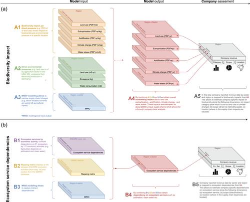 Biodiversity impact assessment for finance