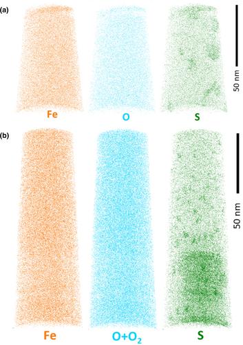 Shock melt in the Cold Bokkeveld CM2 carbonaceous chondrite and the response of C-complex asteroids to hypervelocity impacts