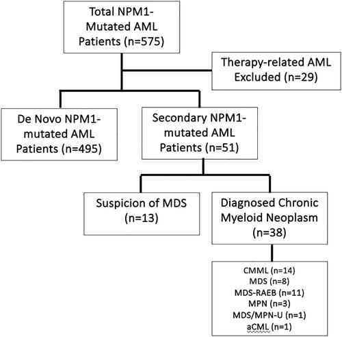 Evolution from an antecedent chronic myeloid malignancy does not impact survival outcomes in NPM1-mutated AML