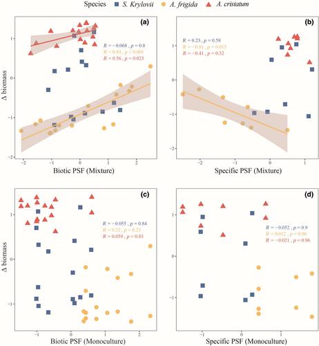 Root traits and soil legacies drive species competition outcomes