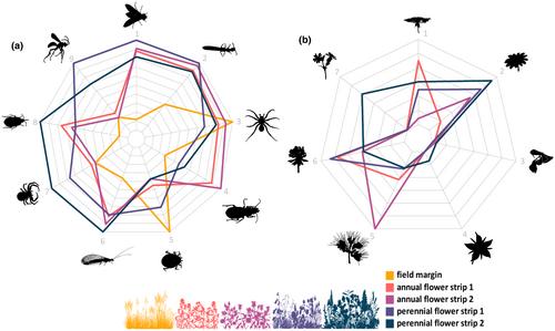 Taxon-specific response of natural enemies to different flower strip mixtures