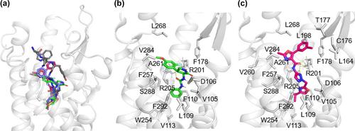 Biased receptor signalling and intracellular trafficking profiles of structurally distinct formylpeptide receptor 2 agonists