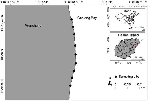 Seasonal patterns of juvenile fish assemblages in the surf zones of tropical sandy beaches along Gaolong Bay, Hainan Island, China