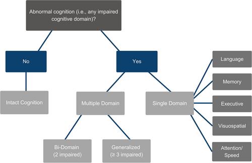 A user's guide for the International Classification of Cognitive Disorders in Epilepsy