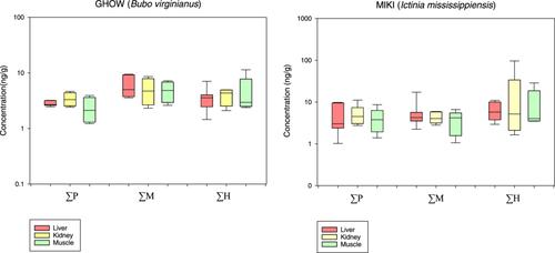 Accumulation of Parabens, Their Metabolites, and Halogenated Byproducts in Migratory Birds of Prey: A Comparative Study in Texas and North Carolina, USA