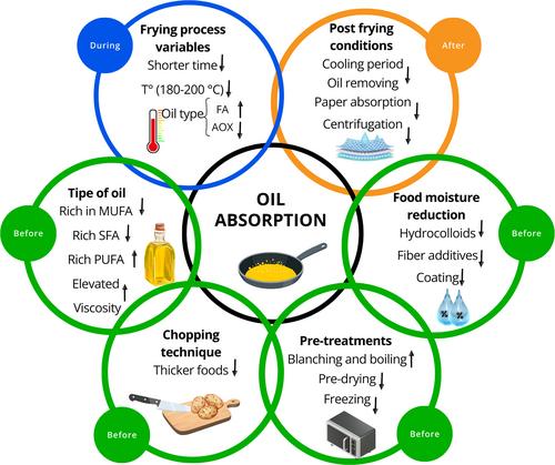 Deep-frying impact on food and oil chemical composition: Strategies to reduce oil absorption in the final product