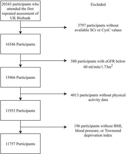 Change in physical activity and its association with decline in kidney function: A UK Biobank-based cohort study