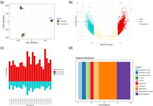 Barramundi (Lates calcarifer) rare coloration patterns: a multiomics approach to understand the “panda” phenotype