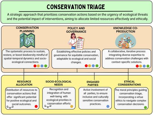 Conservation triage in action: Planning, governance and knowledge co-production for biodiversity protection