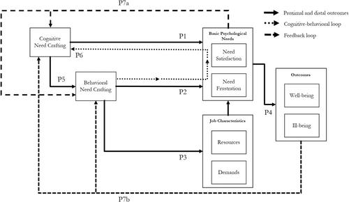 Crafting for autonomy, competence, and relatedness: A self-determination theory model of need crafting at work