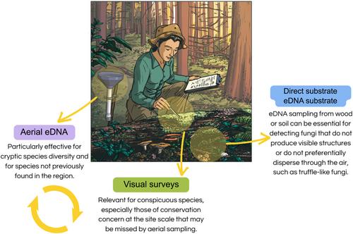 Everywhere we look around: Aerial eDNA to capture fungal diversity