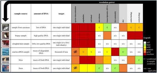 The answer, my friend, is blowin’ in the wind: Blow sampling provides a new dimension to whale population monitoring