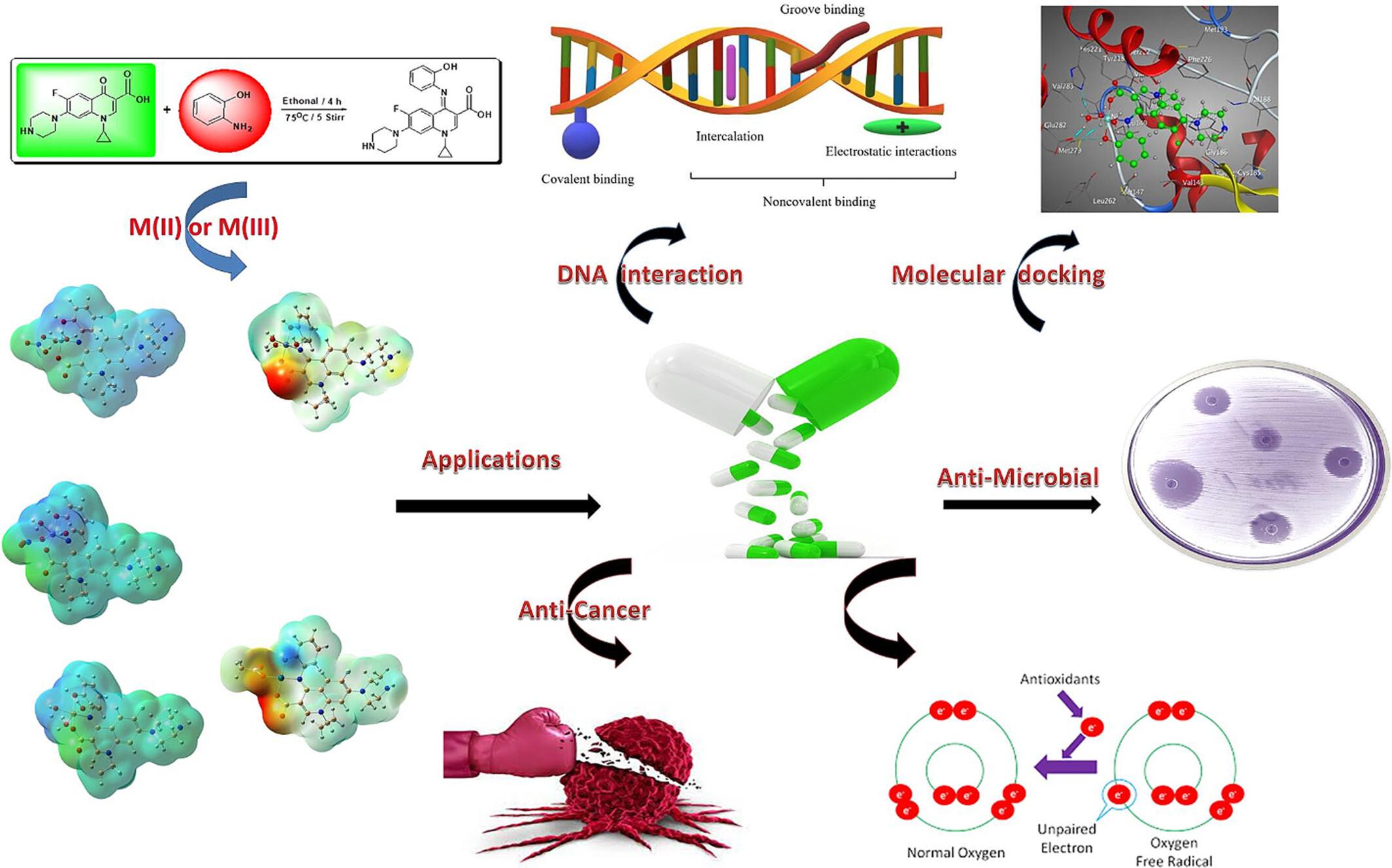 Fabrication, Preparation, Physicochemical Characterization, and Theoretical Studies of Some Novel Schiff Base Ciprofloxacin Metal Complexes: DNA Interaction and Biomedical Applications