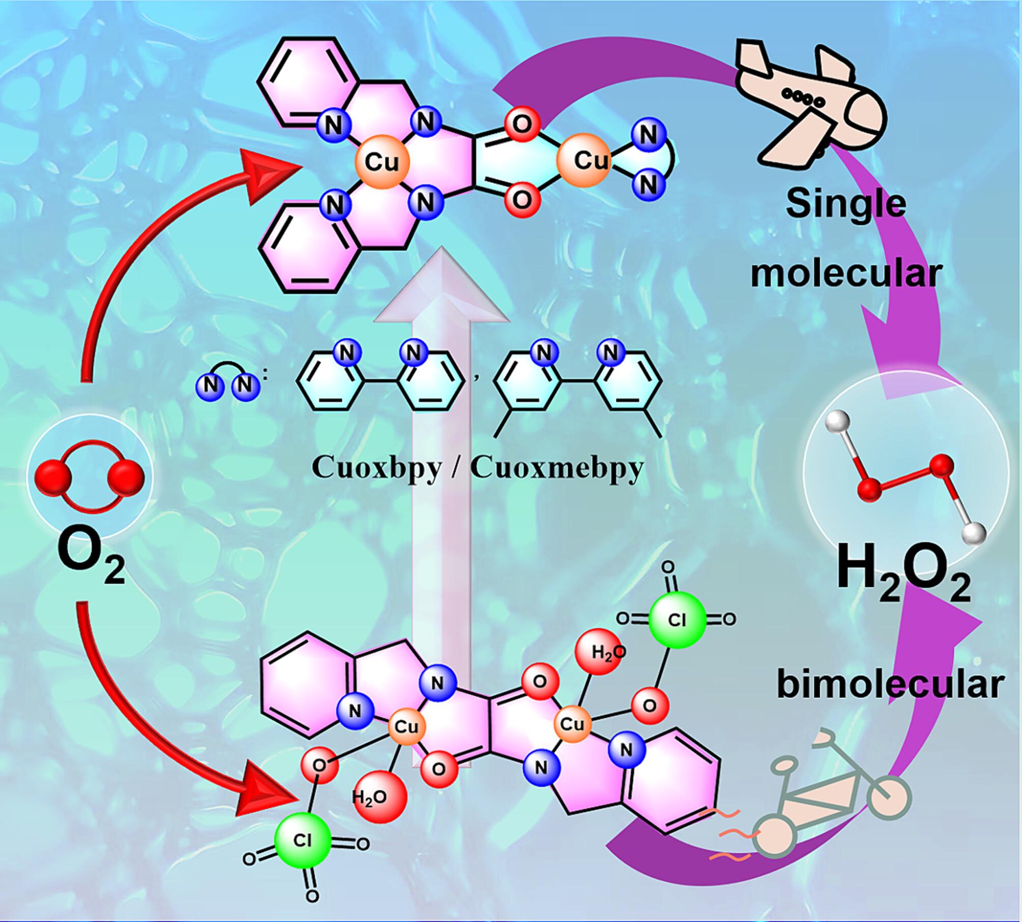 Effect of Bipyridines on Catalytic Oxygen Reduction by Oxamidato-Bridged Dicopper(II) Complexes