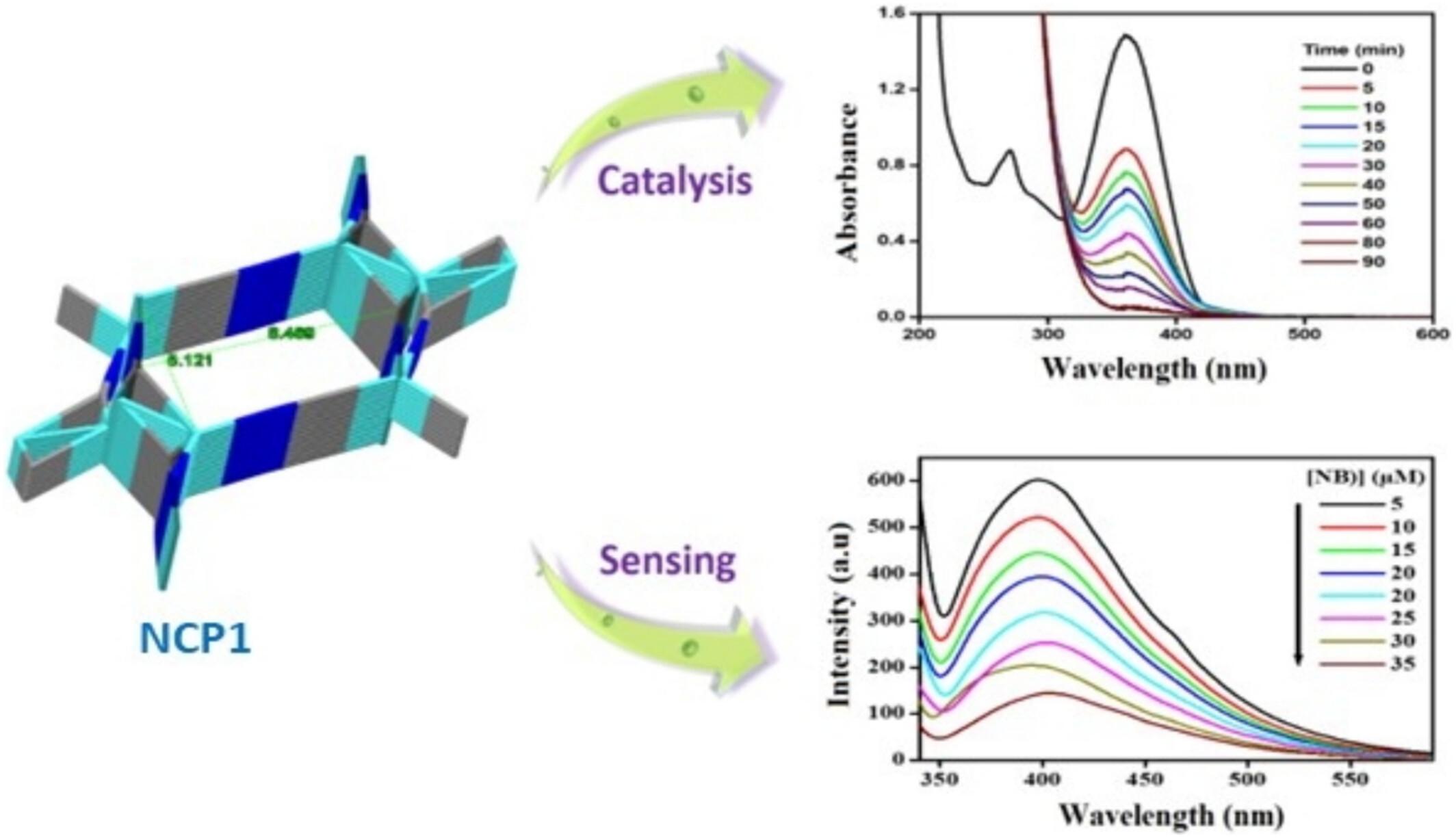 Ultrasonic-Driven Coordination Polymer Based on the Building Block [CuI (CN)4]3− and Heptane-1,7-diamine as a Luminescence Sensor and Efficient Catalyst for Pharmaceutical Wastewater Treatment