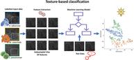 Texture-based speciation of otitis media-related bacterial biofilms from optical coherence tomography images using supervised classification