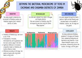 Defining the bacterial microbiome of ticks in Chongwe and Chisamba Districts of Zambia