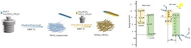 Synergistically enhanced photoelectrocatalytic degradation of ciprofloxacin via oxygen vacancies and internal electric field on a NiSe2/WO3 photoanode†