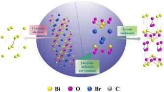 Halide-guided carbon-affinity active sites in BimOnBrp-derived Bi2O2CO3 for efficient electrocatalytic CO2 reduction to formate†