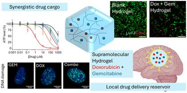 Supramolecular hydrogels enable co-delivery of chemotherapeutics with synergistic efficacy against patient-derived glioblastoma cells and spheroids†