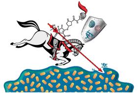 Approaches to enhance the antimicrobial activity of carbapenems within bacterial biofilms