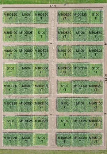 Arthropod activity density and predation are supported by mixed cropping of maize with common sainfoin (Onobrychis viciifolia) and reduced tillage