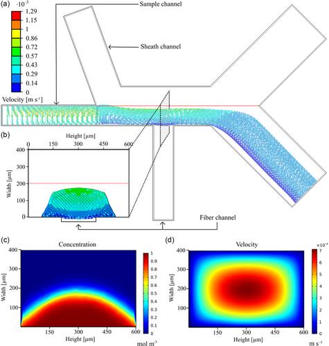 Design and Fabrication of 3D-Printed Lab-On-A-Chip Devices for Fiber-Based Optical Chromatography and Sorting