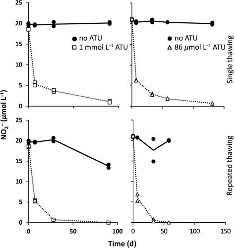 Stabilization of nitrite in the presence of the nitrification inhibitor allylthiourea (ATU) in freshwater nitrification rate measurements