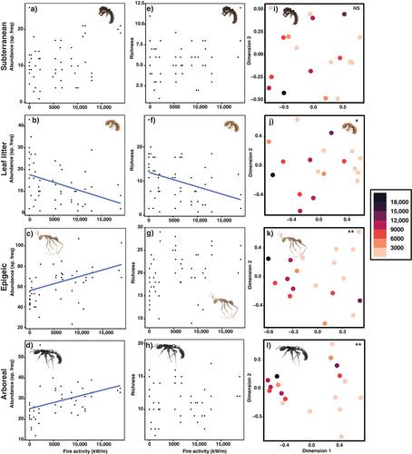 The impacts of fire vary among vertical strata: Responses of ant communities to long-term experimental burning