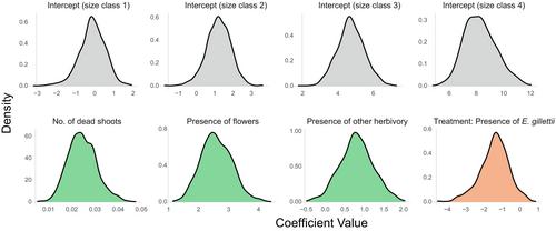 Impacts of assisted migration: An introduced herbivore has short-term and long-term effects on its native host plant population