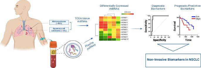 Circulating miRNA panels as a novel non-invasive diagnostic, prognostic, and potential predictive biomarkers in non-small cell lung cancer (NSCLC)