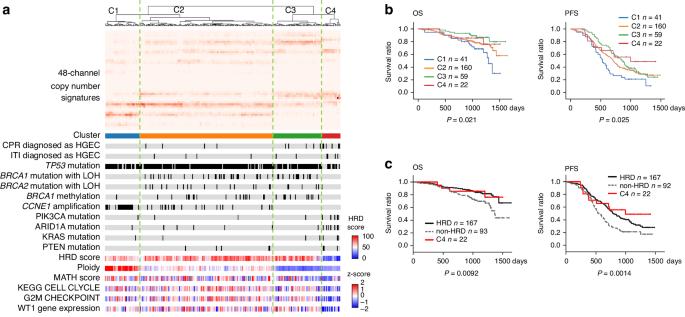 Molecular classification of ovarian high-grade serous/endometrioid carcinomas through multi-omics analysis: JGOG3025-TR2 study