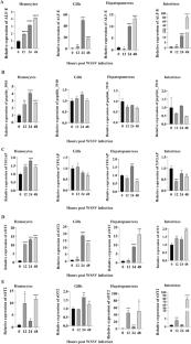 Exploration and Characterization of Antimicrobial Peptides from Shrimp Litopenaeus Vannamei by A Genomic and Transcriptomic Approach