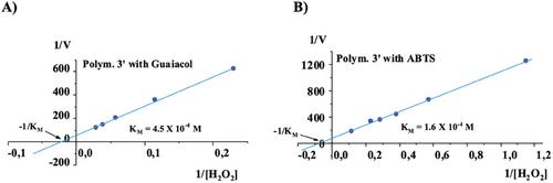 Star-Like Polypeptides as Simplified Analogues of Horseradish Peroxidase (HRP) Metalloenzymes