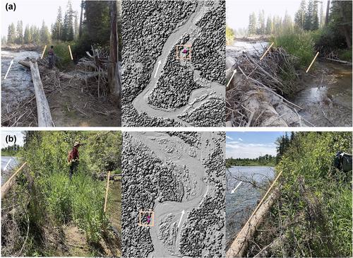 Islands in the stream: Wood-induced deposition and erosion in the river corridor