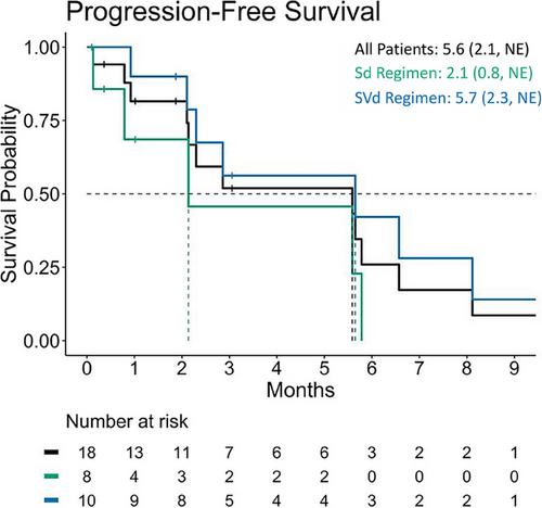 Selinexor in combination with dexamethasone with or without bortezomib in heavily pretreated multiple myeloma: A case series