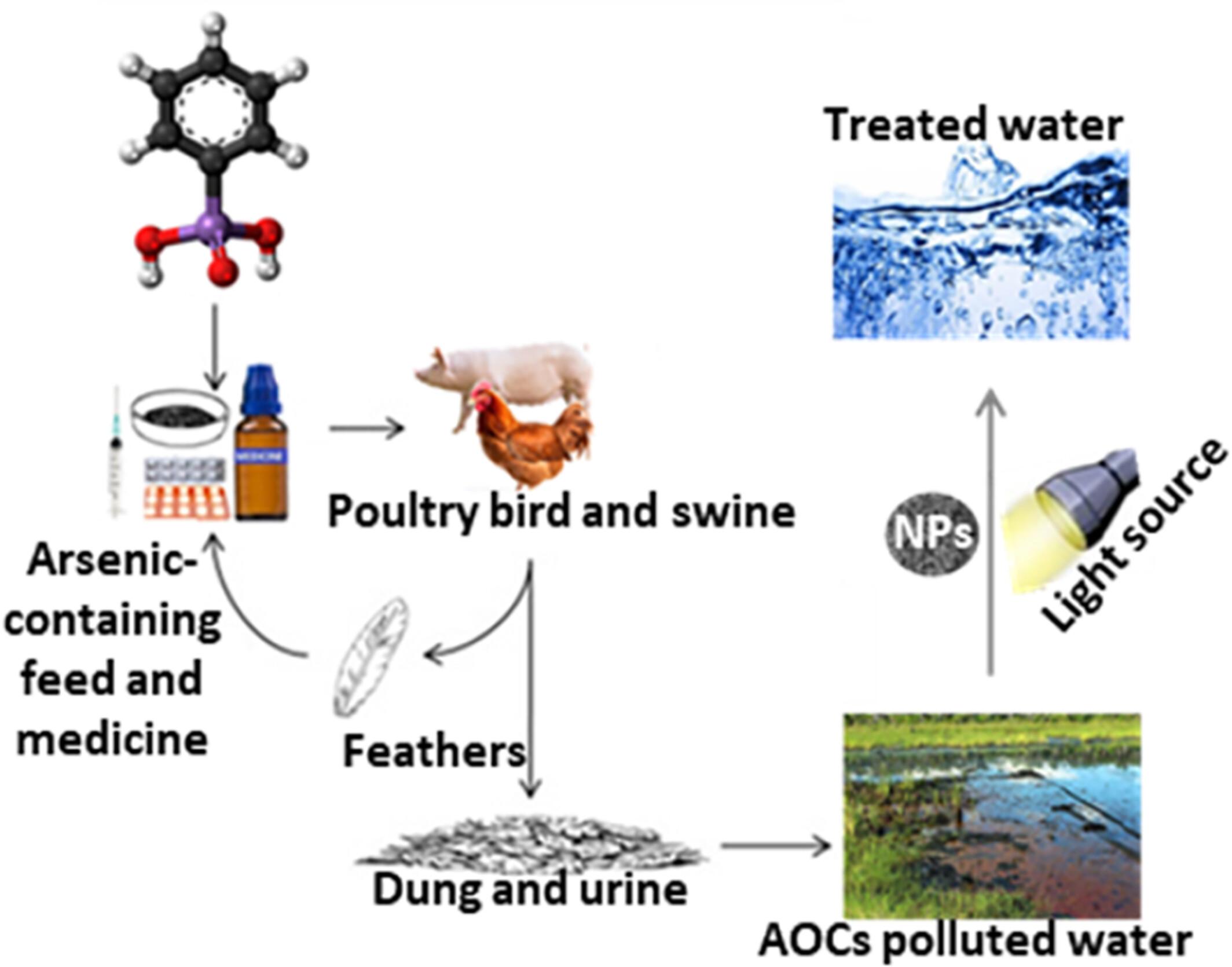 A review on photocatalytic degradation of aromatic organoarsenic compounds in aqueous environment using nanomaterials