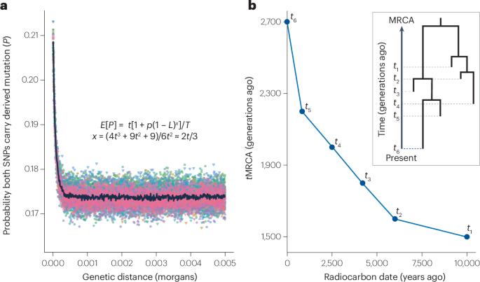 Reconstructing generation intervals over time