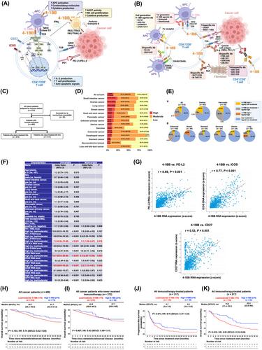 4-1BB transcriptomic expression patterns across malignancies: Implications for clinical trials of 4-1BB agonists