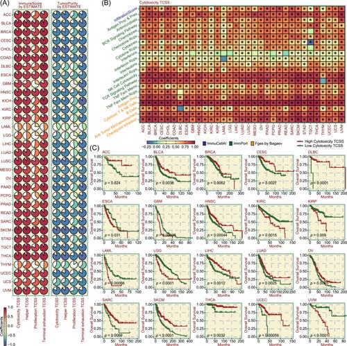 TCellSI: A novel method for T cell state assessment and its applications in immune environment prediction